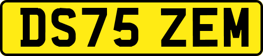 DS75ZEM
