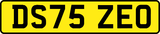 DS75ZEO