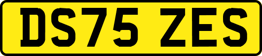 DS75ZES