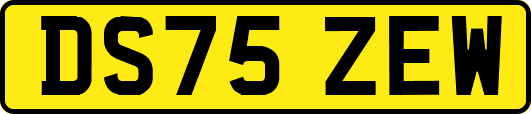 DS75ZEW