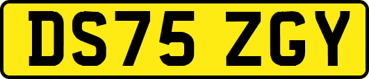 DS75ZGY
