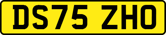 DS75ZHO