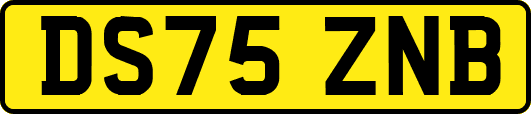 DS75ZNB