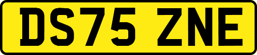 DS75ZNE