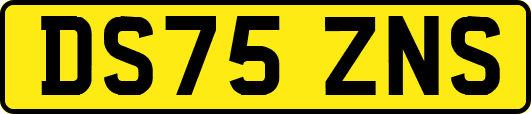 DS75ZNS