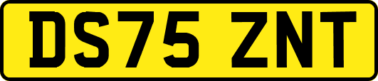 DS75ZNT