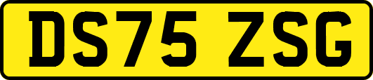 DS75ZSG