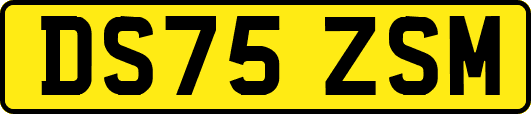 DS75ZSM