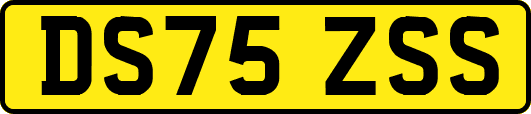DS75ZSS