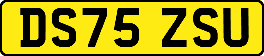 DS75ZSU