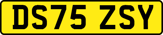 DS75ZSY