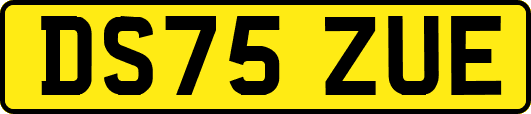 DS75ZUE