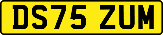 DS75ZUM