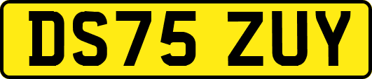 DS75ZUY