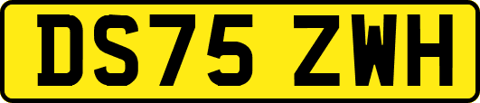DS75ZWH