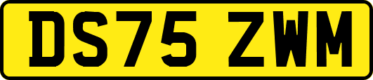 DS75ZWM