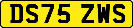 DS75ZWS