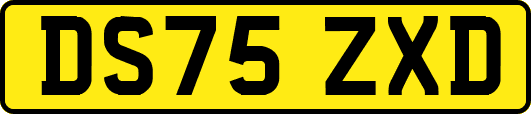 DS75ZXD