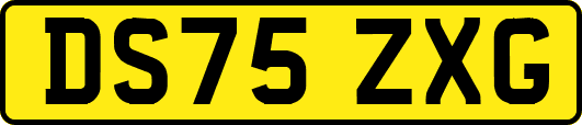DS75ZXG