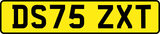 DS75ZXT
