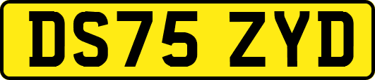 DS75ZYD