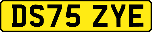 DS75ZYE