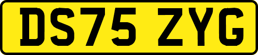 DS75ZYG