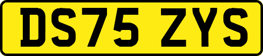 DS75ZYS