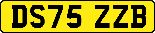 DS75ZZB