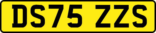 DS75ZZS