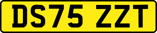 DS75ZZT
