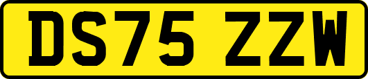 DS75ZZW