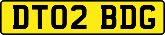 DT02BDG