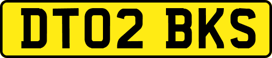 DT02BKS
