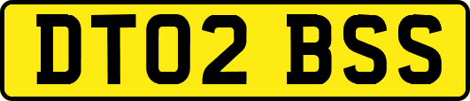 DT02BSS