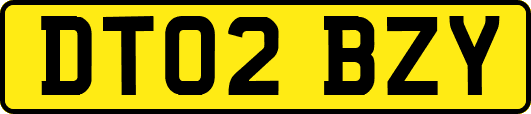 DT02BZY