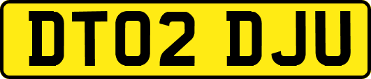 DT02DJU