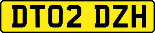 DT02DZH