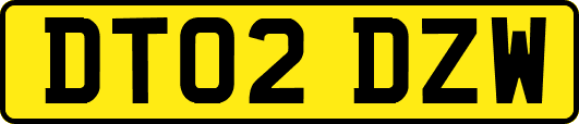 DT02DZW
