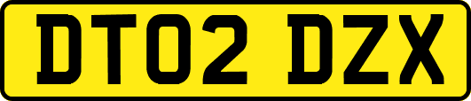 DT02DZX