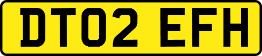 DT02EFH