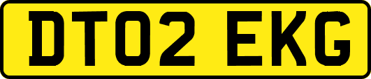 DT02EKG