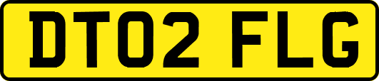 DT02FLG