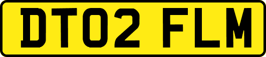 DT02FLM