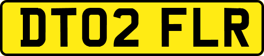 DT02FLR
