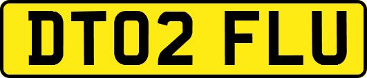 DT02FLU