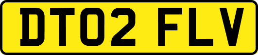 DT02FLV
