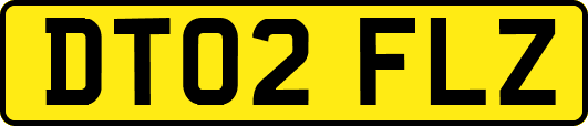 DT02FLZ