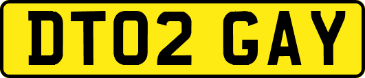 DT02GAY