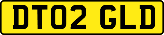 DT02GLD